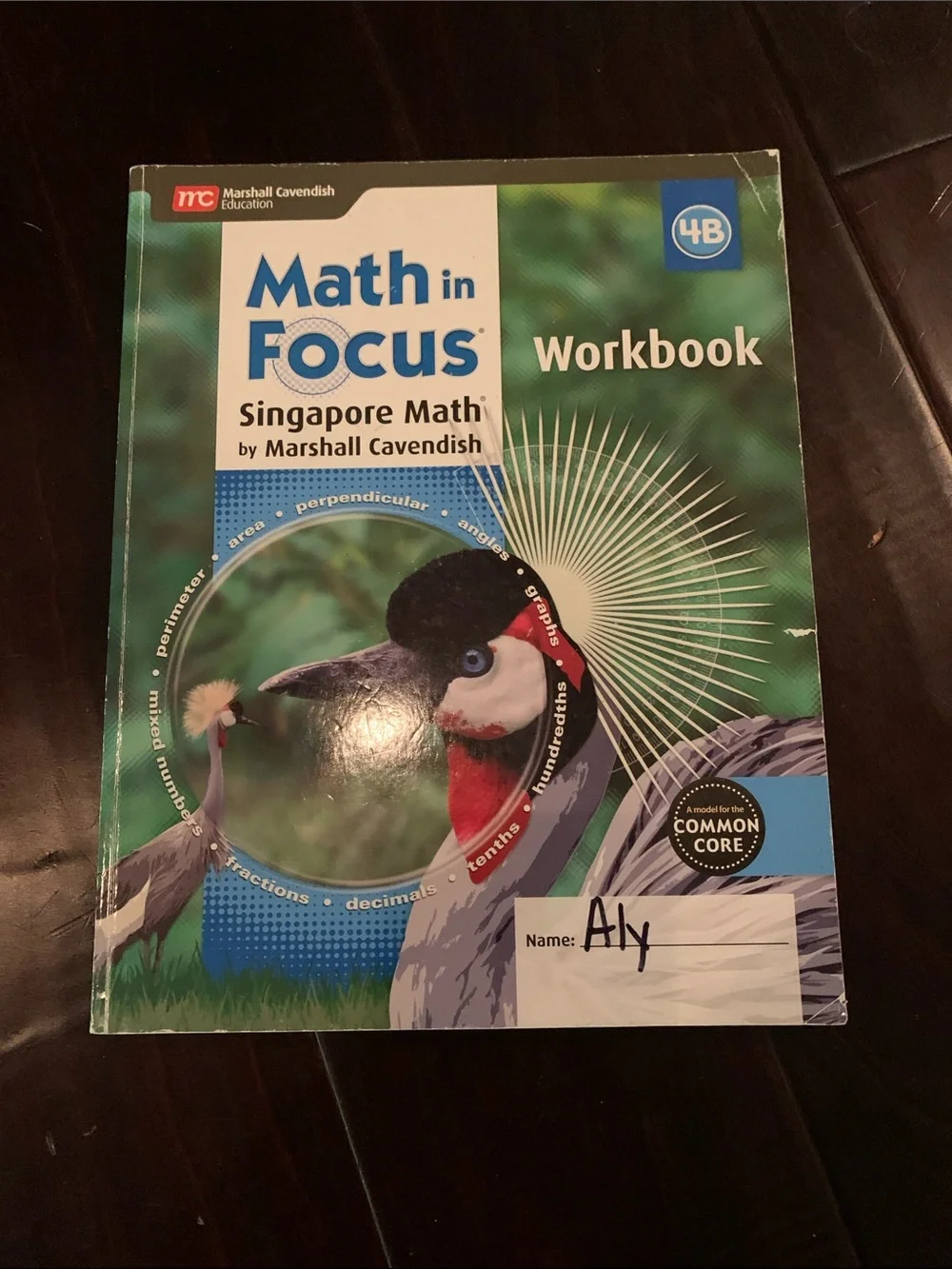 Math in Focus 4B Workbook